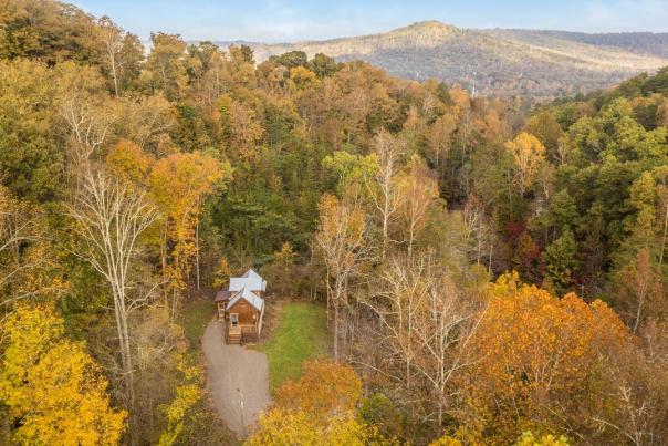 aerial image of cabin in the woods