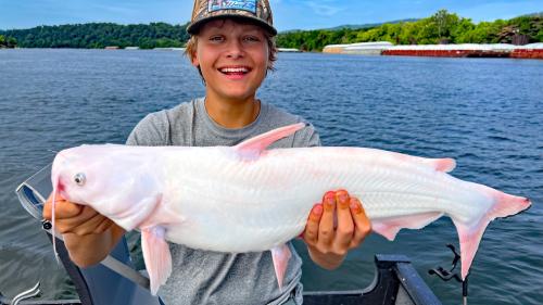 Rare Catfish Caught in Chatt